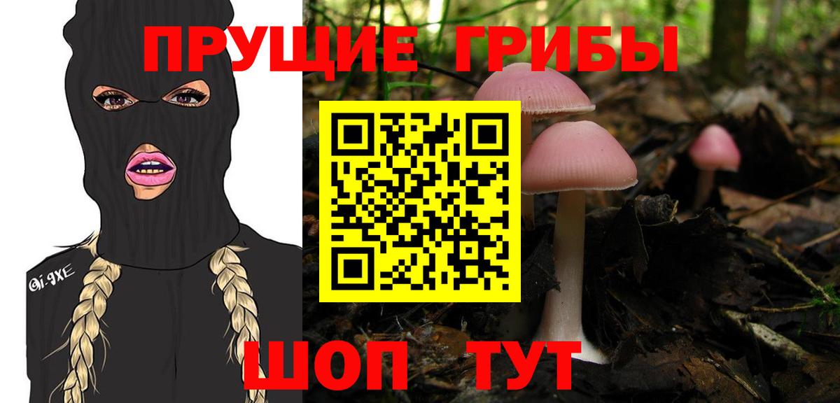 Псилоцибиновые грибы MAGIC MUSHROOMS  Псилоцибиновые грибы Psilocybine cubensis  Воткинск  Вход с VPN 